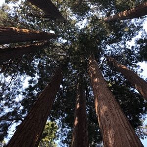 Meet your Posher, Kelcey